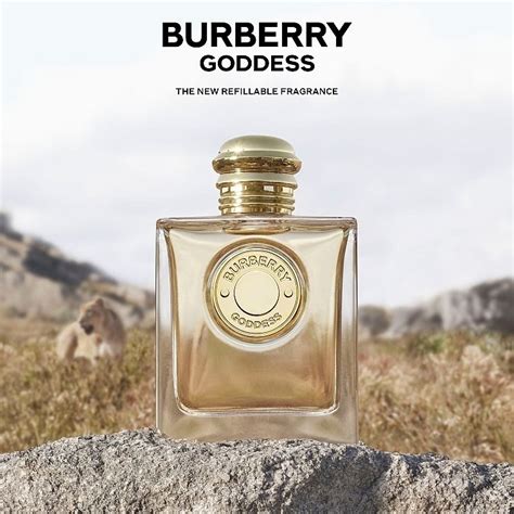 burberry hamburg|Burberry goddess for men.